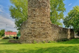 Ruine der Wasserburg Ruppendorf - Mai 2025