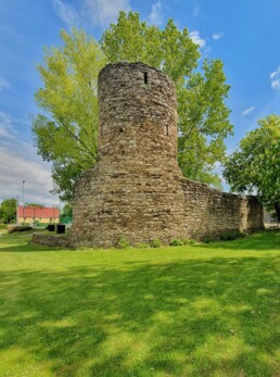 Ruine der Wasserburg Ruppendorf - Mai 2025