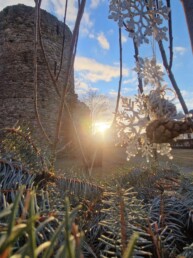 Burgruine Ruppendorf Februar 2026