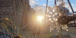 Burgruine Ruppendorf Februar 2026