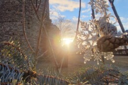 Burgruine Ruppendorf Februar 2026